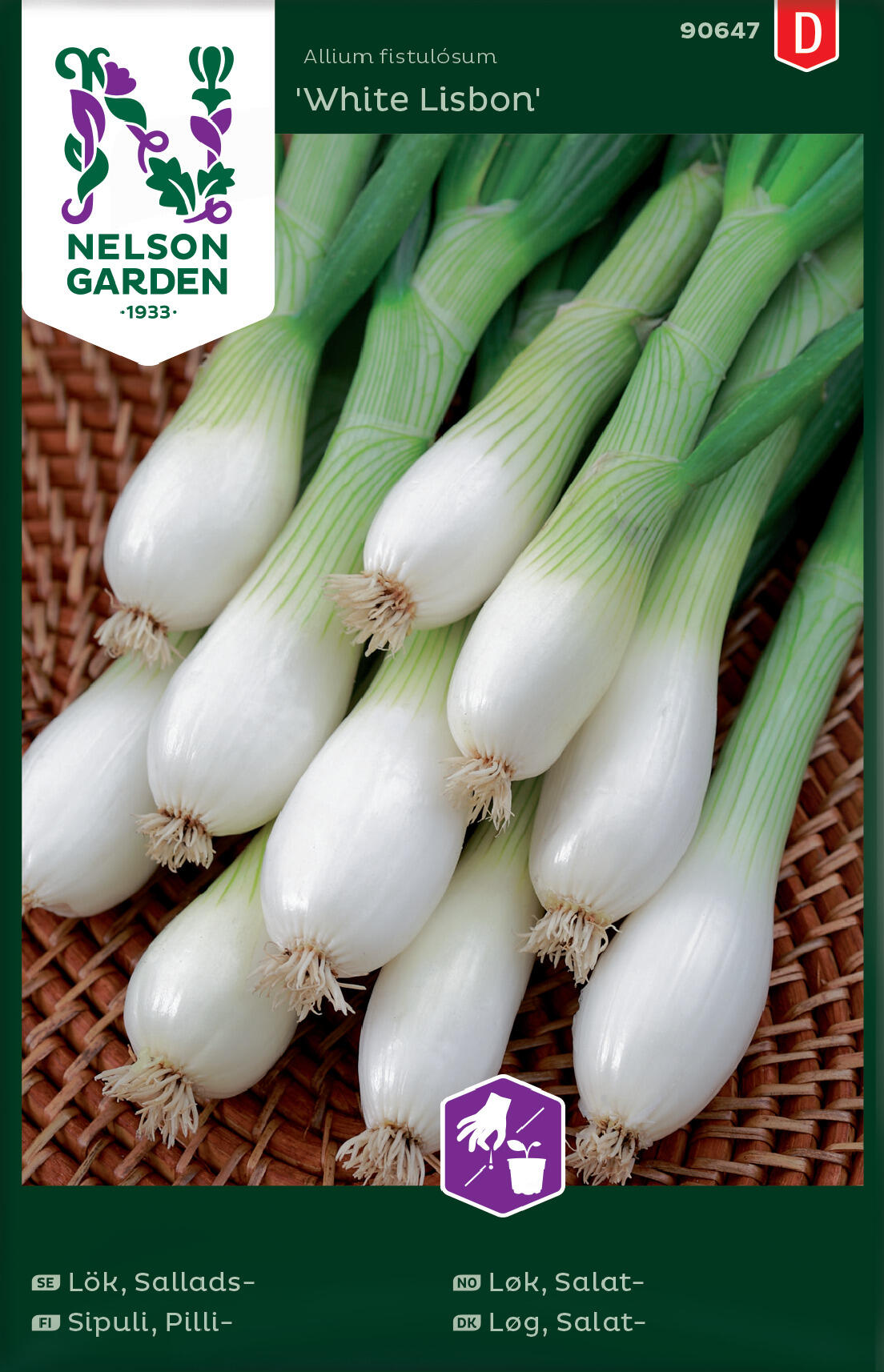 Salatløk 'White Lisbon'